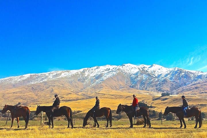Cardrona High Country Pub Trail: High-Altitude Horse Trek with a Pub Stop photo 2
