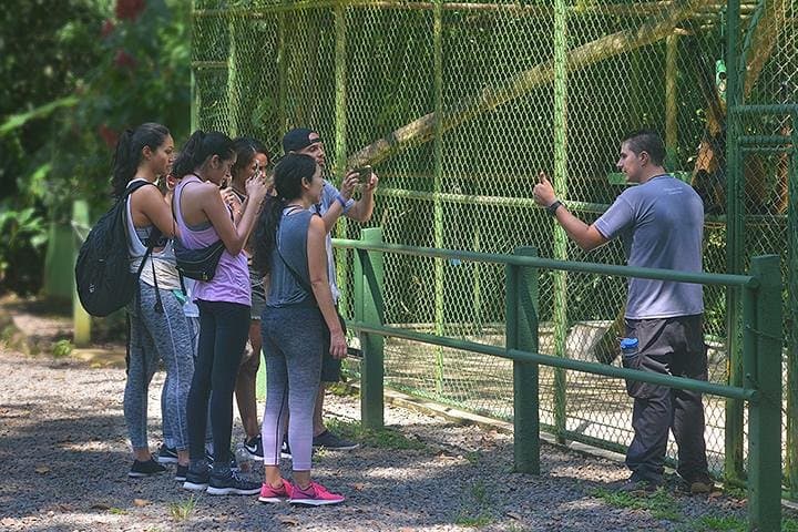 Inside La Fortuna’s Wildlife Rescue Center: Hands-On Conservation Tour