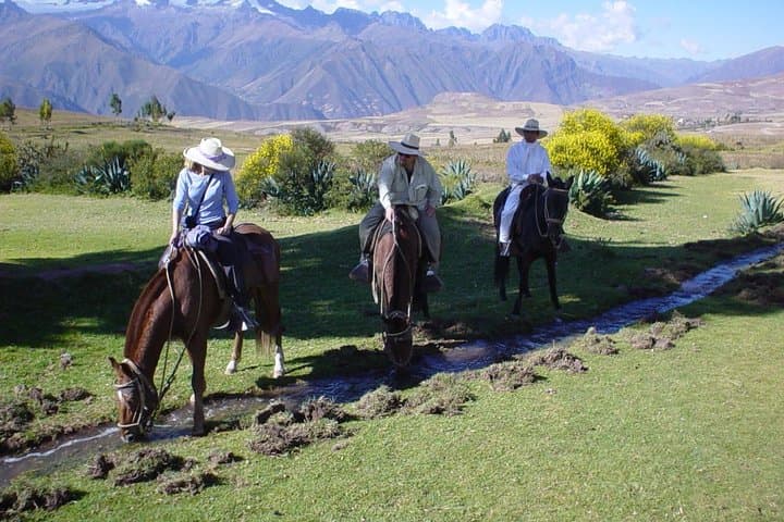 Maras & Moray Sacred Valley: Peruvian Paso Horseback Riding and Salt Terraces Private Tour photo 2