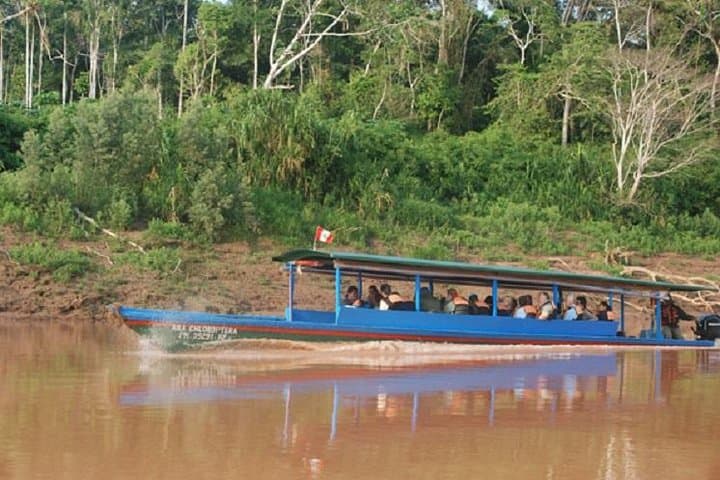 3-Day Amazon Jungle Tour at Eco Amazonia Lodge — Madre de Dios Wildlife & River Excursions photo 2