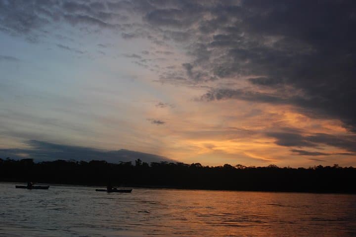 3-Day Amazon Jungle Experience at Refugio Amazonas, Puerto Maldonado