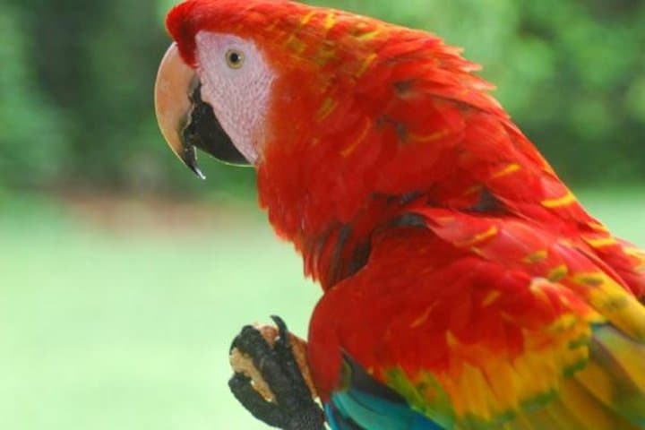 8-Day Peru Adventure: Machu Picchu, Sacred Valley & Amazon Jungle photo 3
