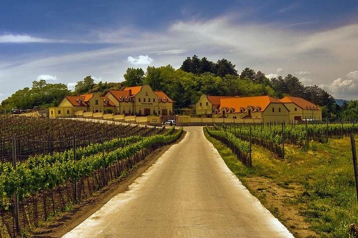 Two-Day Private Wine Tour: Czech Moravia & Bratislava from Vienna