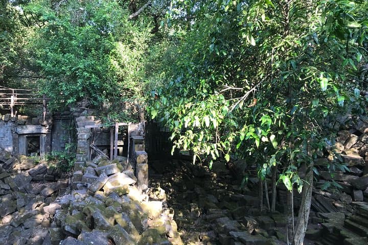 Beng Mealea: The Lost Jungle Temple Experience Near Siem Reap photo 2