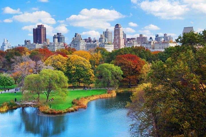 Custom Private Walking Tour of New York City: Manhattan Highlights & Insider Access photo 1