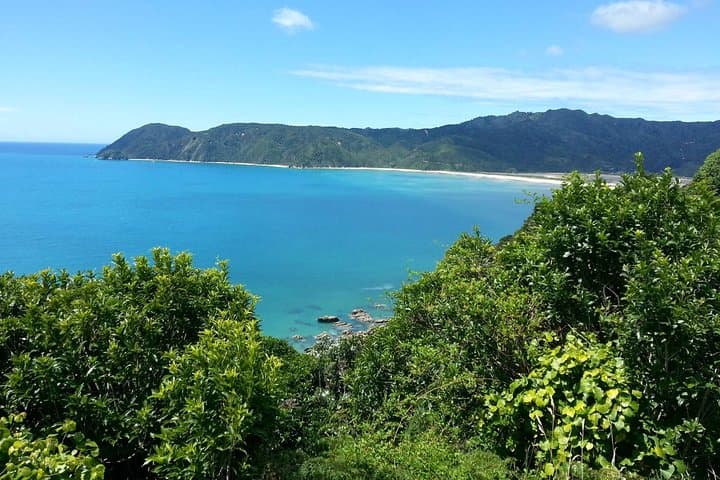 Golden Bay in a Day: Takaka Hill, Te Waikoropupu Springs & Abel Tasman Highlights