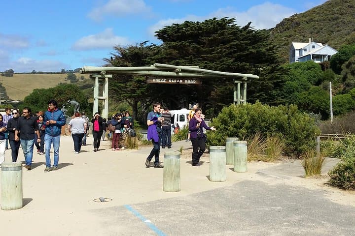 Great Ocean Road Full-Day Tour from Melbourne: 12 Apostles, Rainforest & Coastal Lookouts photo 1