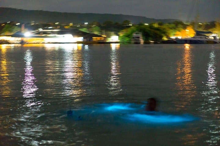 Montego Bay Luminous Lagoon Night Boat Tour: Swim with Glowing Waters photo 1