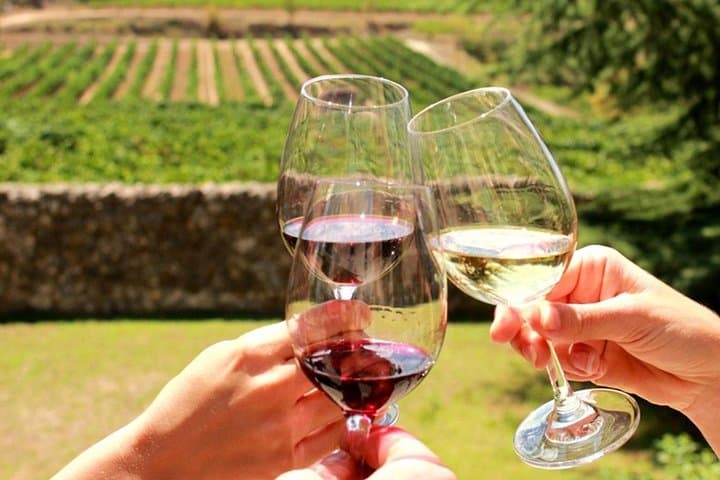 Stellenbosch Half-Day Wine Tour from Cape Town — Tastings, Cellar Visit & Pairings