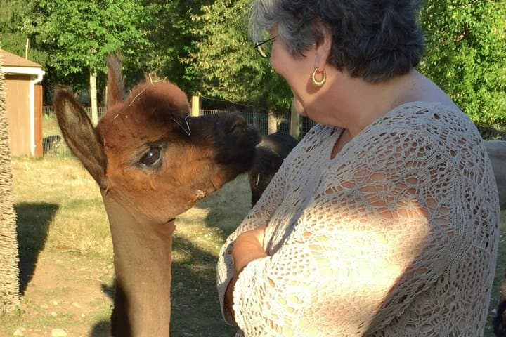 Alpaca Ranch and Fiber Processing Mill Tour: Hands-On Alpaca Experience & Mill Visit