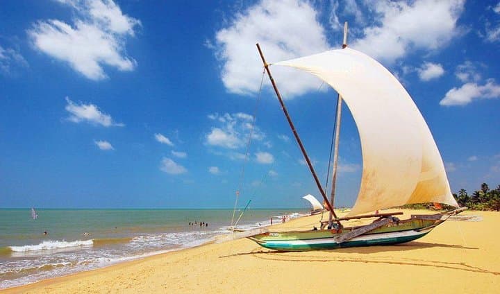 Explore Negombo: A Journey Through Coastal Wonders photo 2