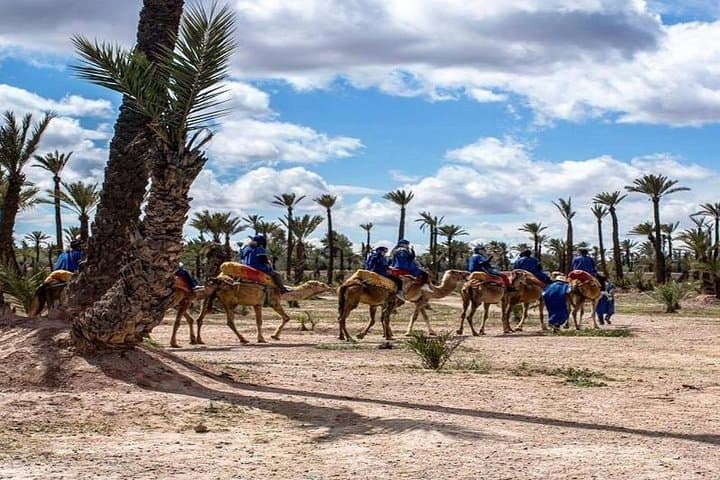 Palmeraie Camel Ride: Palm-Grove Caravan & Berber Tea Near Marrakech photo 2