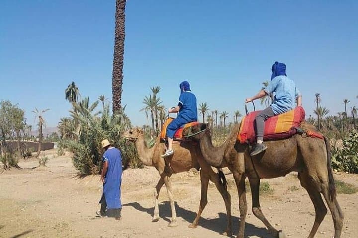 Palmeraie Camel Ride: Palm-Grove Caravan & Berber Tea Near Marrakech photo 3