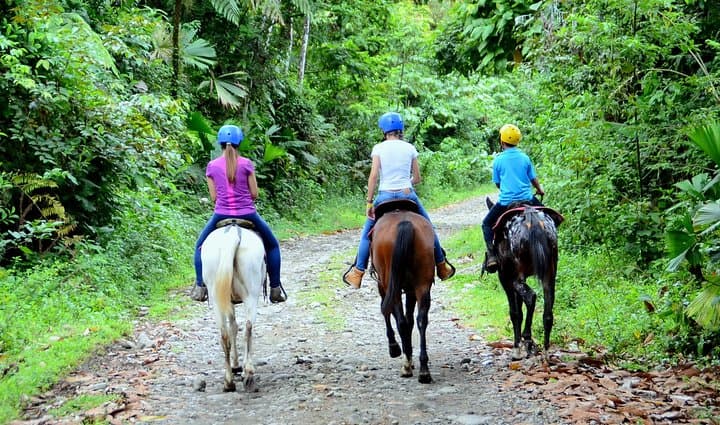 Horseback Ride to La Fortuna Waterfall: Jungle Trail, Hanging Bridge & Maleku Village