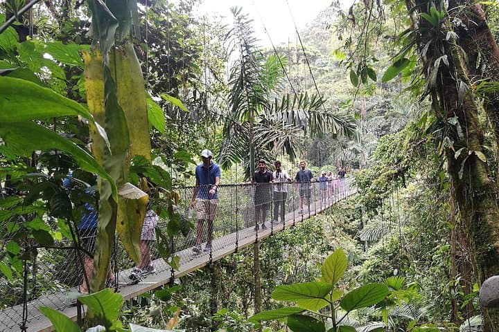 La Fortuna Full-Day: Hanging Bridges, La Fortuna Waterfall, Arenal Volcano Hike & Hot Springs photo 2