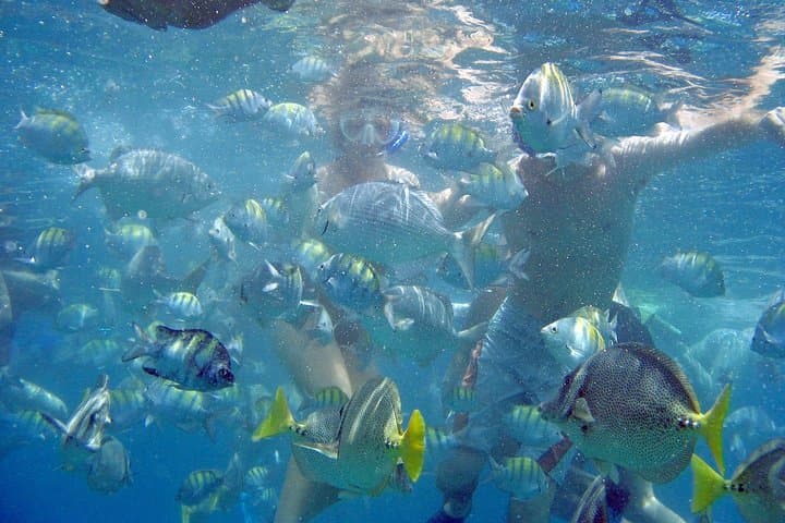 Cabo Highlights: Sail, Snorkel, Taste and Explore the Arch in a Day photo 2