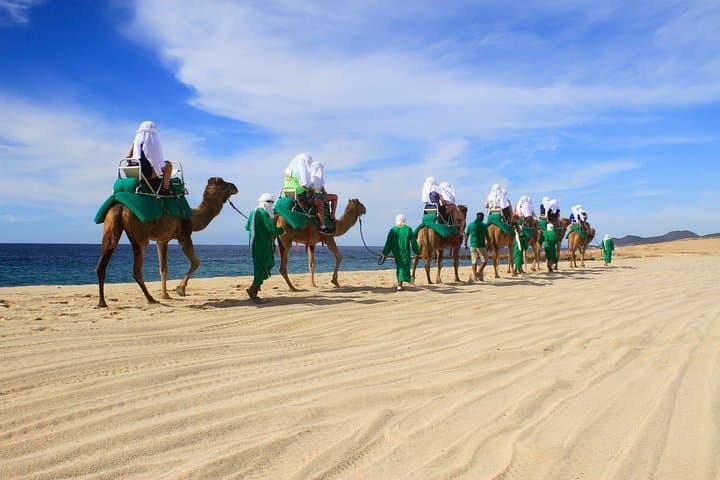 Camel Ride Along the Pacific: Desert Encounter & Tequila Tasting in Los Cabos photo 2