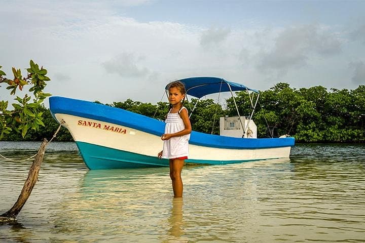 Sunset Mangrove & Wildlife Boat Tour: Nichupté Lagoon from the Riviera Maya photo 2