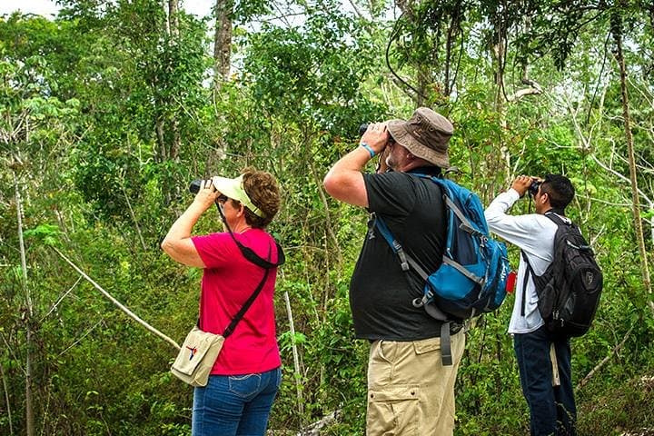 Private Birdwatching Tour on Cozumel Island: Jungle Trails & Endemic Birds photo 2