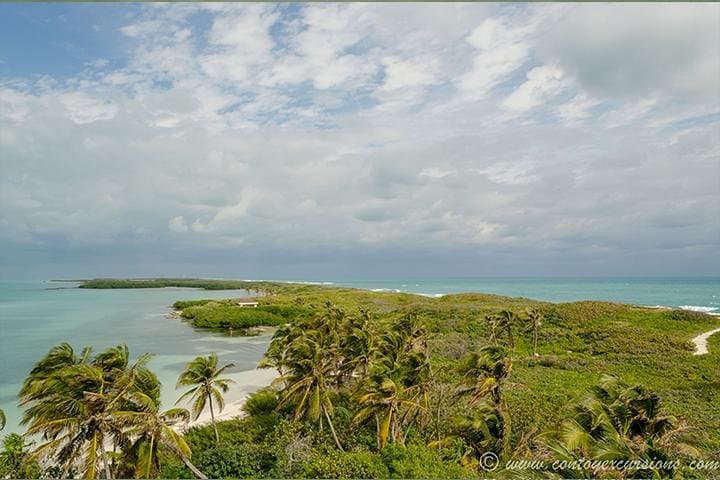 Isla Contoy Day Trip: Snorkel Turquoise Reefs & Watch Nesting Birds from Cancún