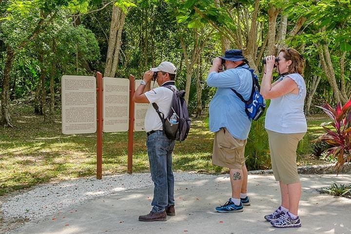 Private Birdwatching in Sian Ka'an: Playa del Carmen Guided Tour photo 2