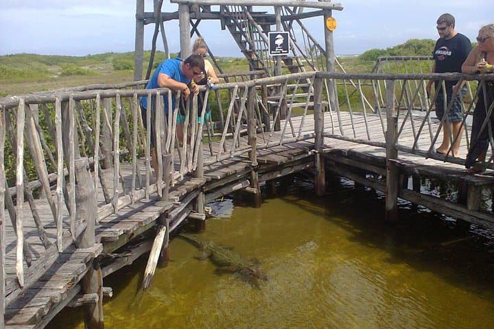 Private Jeep Excursion in Cozumel: Drive, Snorkel and Taste Local Flavors photo 2
