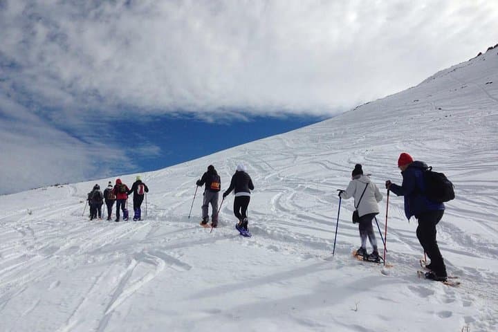 Snowshoeing in Cajón del Maipo: Full-Day Snowhike from Santiago photo 3