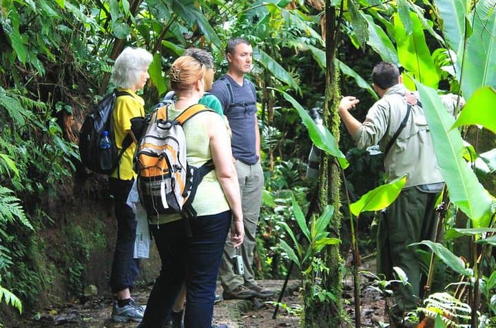 Full-Day Selvatura Monteverde Cloud Forest Adventure from Guanacaste