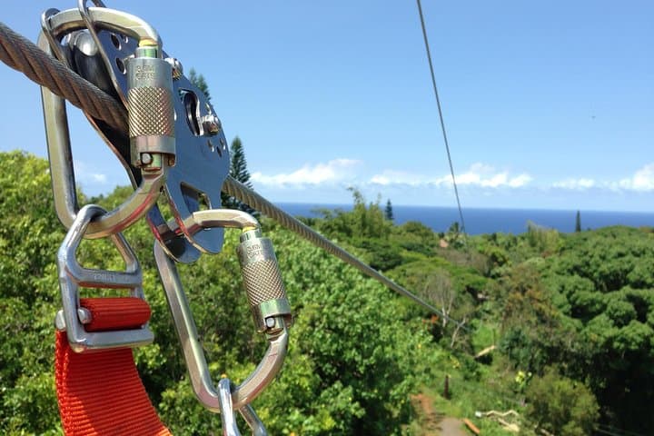 Maui Zipline Eco Adventure: 8 Lines Through the Jungle on Hana Highway photo 2