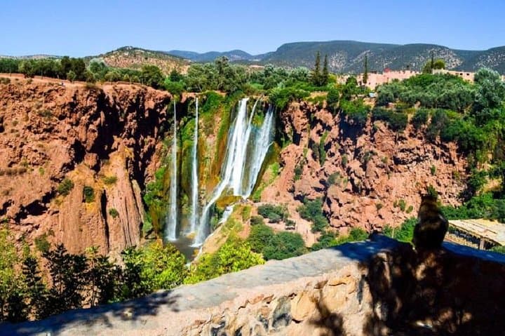 Ouzoud Waterfalls Full-Day Private Trip from Marrakech: Falls, Monkeys & Hiking
