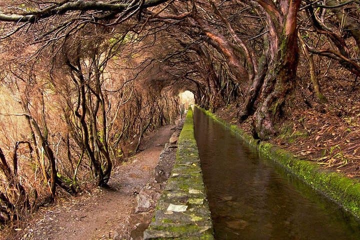 Rabaçal Walks: 25 Fontes & Risco Levada Hike on Madeira's West Side photo 2