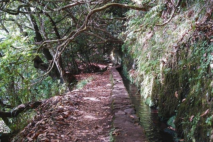 Caldeirão Verde Levada Walk: Madeira's Emerald Ravine Hike photo 2