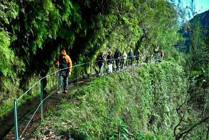 Kings Levada Walk — São Jorge Waterfalls & Flat Levada Hike in Madeira