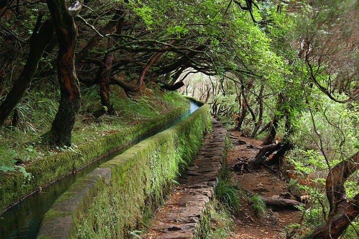 Kings Levada Walk — São Jorge Waterfalls & Flat Levada Hike in Madeira photo 2