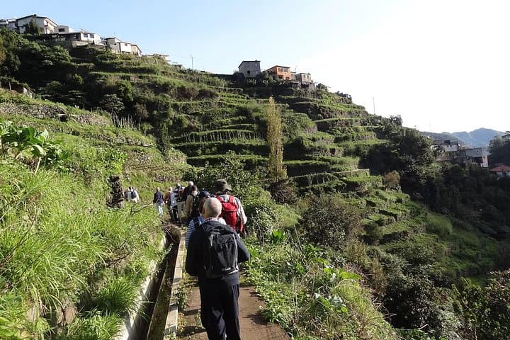 Mimosa Valley Guided Walk from Funchal - Easy Valley Hike to Machico Bay Views photo 1