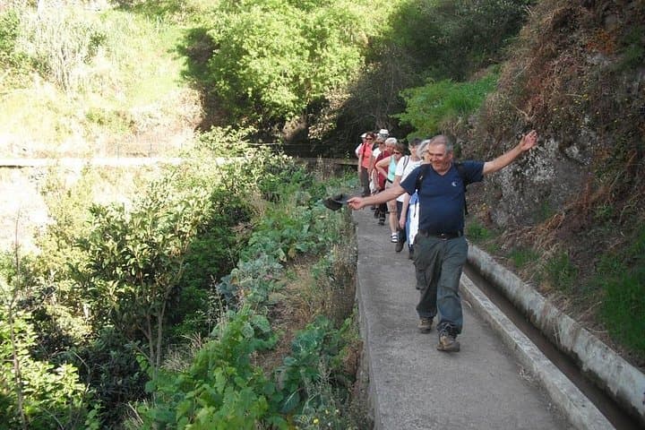 Mimosa Valley Guided Walk from Funchal - Easy Valley Hike to Machico Bay Views photo 2