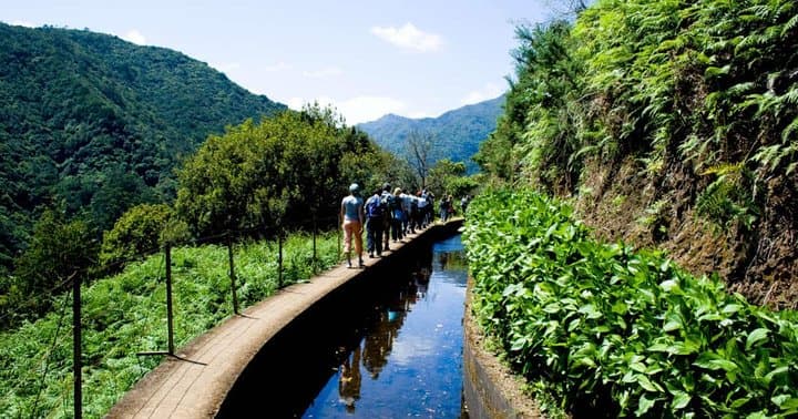Levada do Norte Walk from Cabo Girão — South Madeira Coastal Views and Cultivated Hills