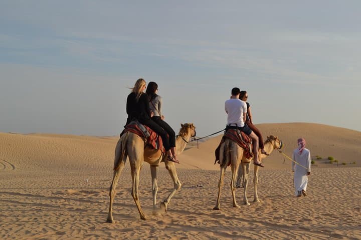 Evening Desert Safari & Quad Bike Ride in Dubai photo 4