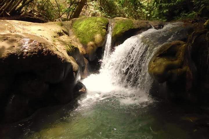 Mayfield Falls Nature Walk: Swim, Climb and Explore Westmoreland’s Cool Mountain Pools