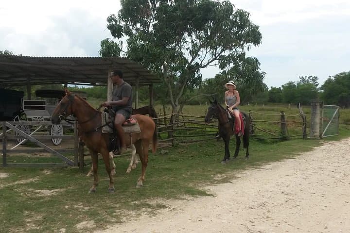 Negril Horseback Ride to Mayfield Falls — Ride, Swim & Mountain Pools