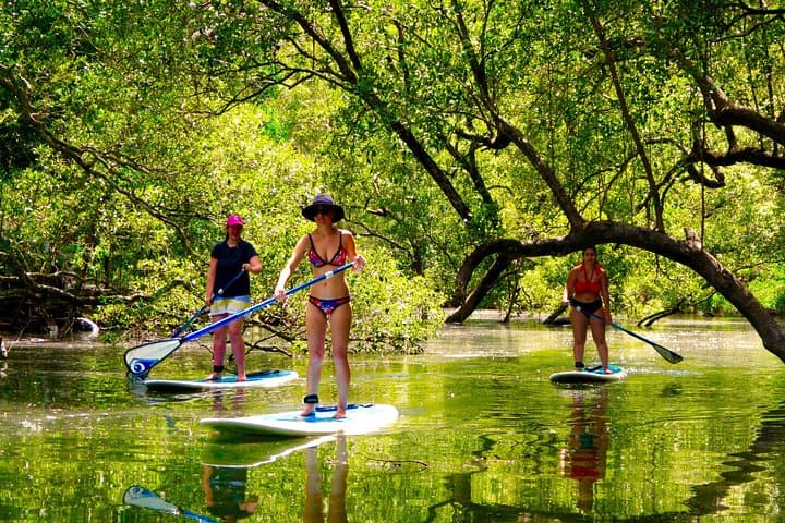 Byron Stand Up Paddle Nature Tour on the Brunswick River photo 3