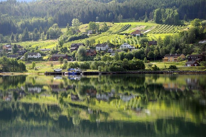 Norway in a Nutshell from Bergen: Sognefjord Cruise & Flåm Railway photo 4