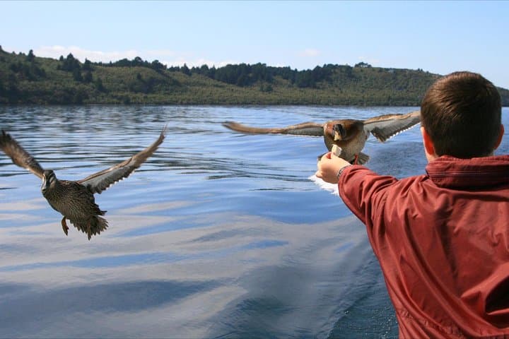Maori Rock Carving Cruise Taupo — Mine Bay Scenic Boat Tour photo 2