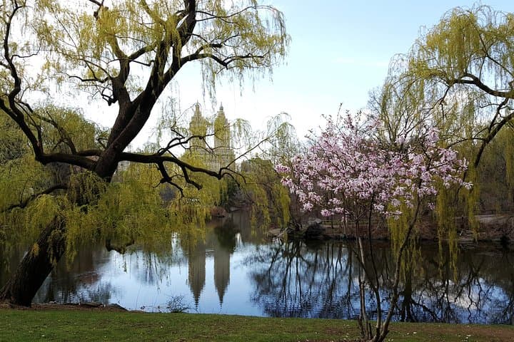 Private Scenic Central Park Walking Tour: 3–4 Hour Guided Walk Through NYC's Iconic Park photo 2