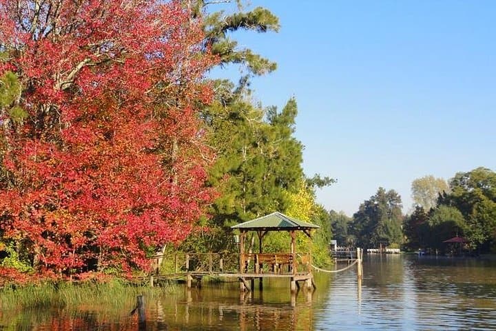 Tigre Delta Cruise from Buenos Aires — Full-Day Boat, Kayak & Swim photo 1