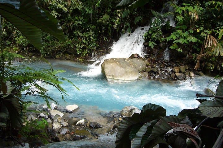 Rincon de la Vieja Waterfall & Hot Springs Tour from Playa Hermosa photo 2