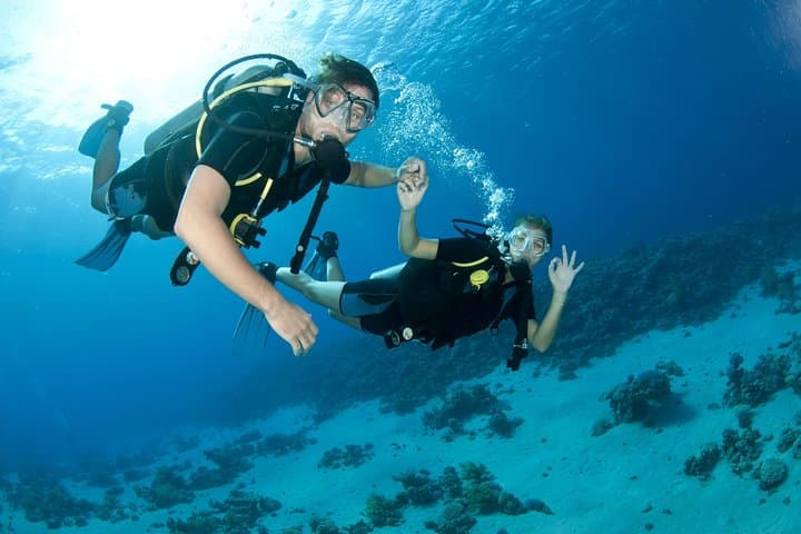 Fujairah Discovery Scuba Diving & Snorkeling from Dubai — Dibba Reef Day Trip
