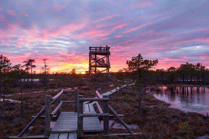 kemeri-national-park-day-tour-jurmala-boardwalk-and-beach-walk-from-riga