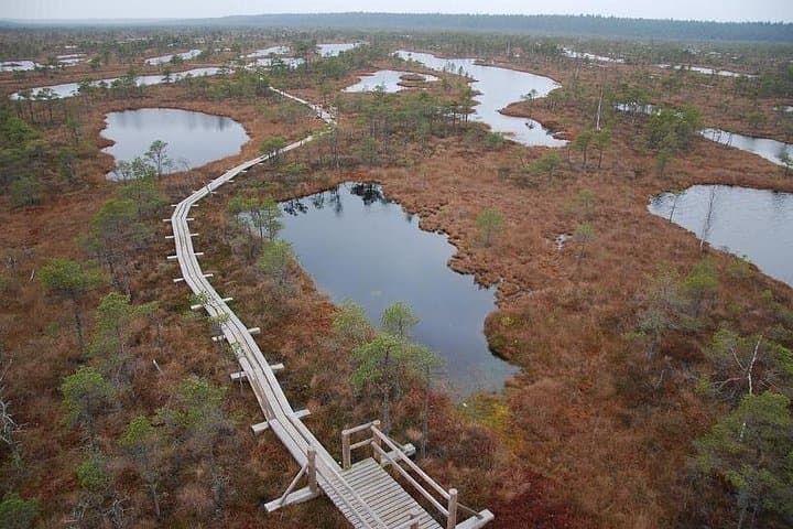 kemeri-national-park-day-tour-jurmala-boardwalk-and-beach-walk-from-riga photo 2