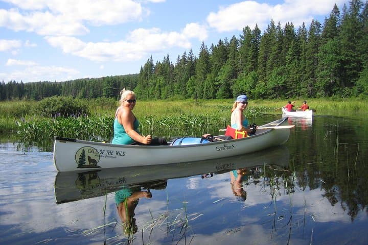 3-Day Algonquin Park Canoe Expedition: Guided Wilderness Camping Trip